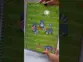 CADERNO 1MT HOLLY TILIBRA
