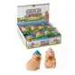 BORRACHA CAPIVARA BRW