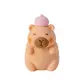 BORRACHA CAPIVARA BRW