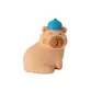 BORRACHA CAPIVARA BRW